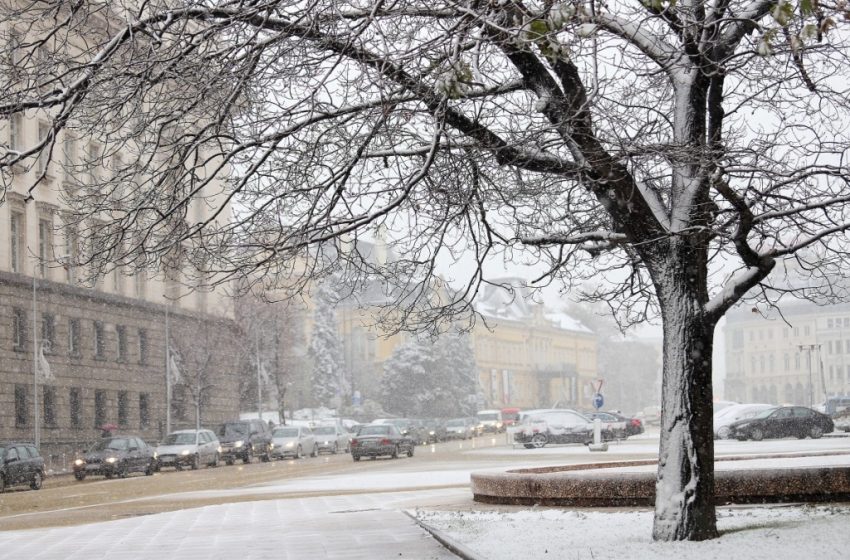  Обилен снеговалеж остави без ток населени места в област Враца