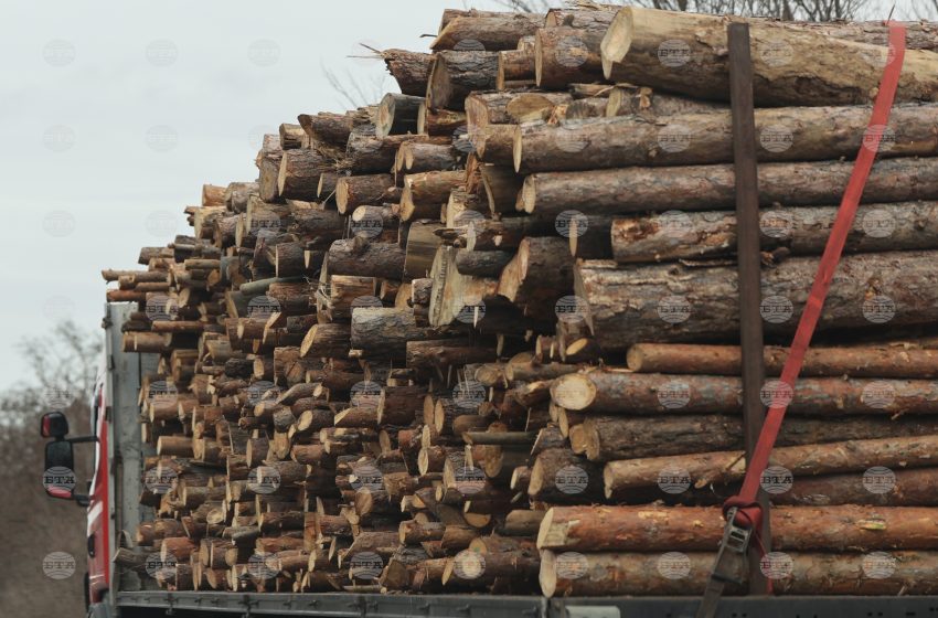  Парламентът прие на първо четене промени в Закона за горите, свързани с облекчаване на реда за закупуване на дървесина за лично ползване