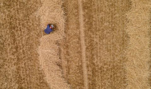  Фермери не виждат дефицит на зърно в Европа