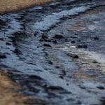 Петролният разлив в Черно море няма да достигне до бреговете на българското Черноморие. Това стана ясно в петък късно вечерта на провелата се извънредна среща между министрите на туризма Мирослав Боршош и на околната среда и водите Манол Генов.