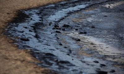 Петролният разлив в Черно море няма да достигне до бреговете на българското Черноморие. Това стана ясно в петък късно вечерта на провелата се извънредна среща между министрите на туризма Мирослав Боршош и на околната среда и водите Манол Генов.