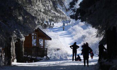 "Призовават ни да ползваме автобуси, за да посещаваме планината, а сега няма как да се приберем в София", сподели един от блокираните туристи.