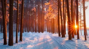 Максималните температури ще бъдат между 6° и 11°, отново значително по-ниски в районите с трайна мъгла, в София - около 0°, сочи Националния институт по метеорология и хидрология (НИМХ).
