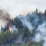 пожар природен парк рилски манастир