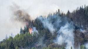 пожар природен парк рилски манастир