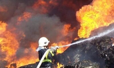 Пожар в борова гора край село Стефан Караджово, Ямболско – евакуирани хора и действия на противопожарните екипи