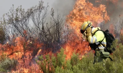 Пожар в широколистна и иглолистна гора край Угърчин