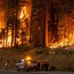 Пожари в България – над 100 000 декара гори унищожени, висок риск през август