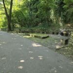 Почистване на брега на река Осъм от доброволци в Ловеч