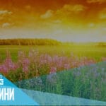 Графика с прогноза за слънчево и горещо време в България