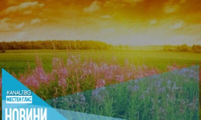 Графика с прогноза за слънчево и горещо време в България