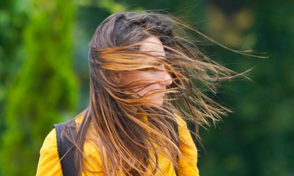 Карта на България с жълт код за силен вятър в 4 области