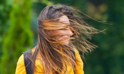 Карта на България с жълт код за силен вятър в 4 области