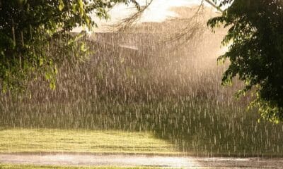 Прогноза за времето в България с валежи и гръмотевици