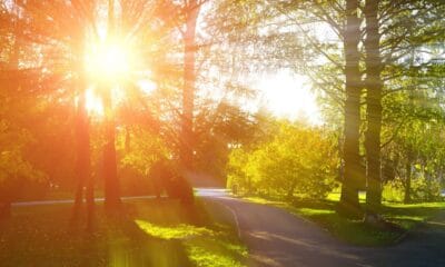 Слънчев летен ден в България с температури до 35 градуса