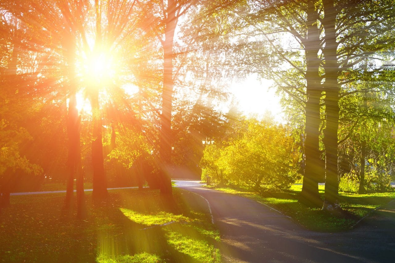 Слънчев летен ден в България с температури до 35 градуса