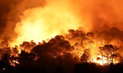 Пожар в землището на Угърчин – гасене на сухи треви и храсти