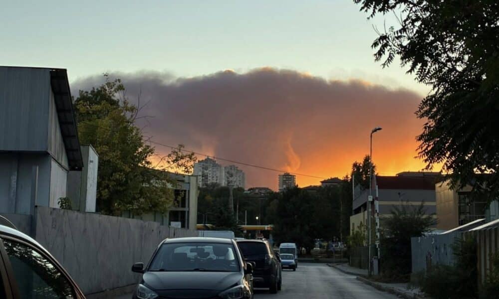 Гъст дим над Плевен след пожар в бившата рафинерия Плама