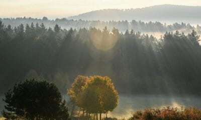 Прогноза за България 20 септември 2025 – слънчево време и температури до 30°