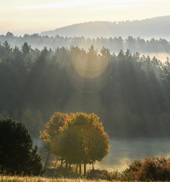 Слънчево време с облаци над България