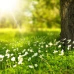 Прогноза за времето в България 21 септември 2025 – слънчево небе