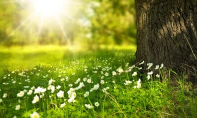 Прогноза за времето в България 21 септември 2025 – слънчево небе