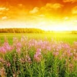 Прогноза за времето в България днес – слънчево време с облаци