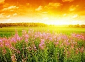 Прогноза за времето в България днес – слънчево време с облаци