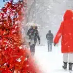 Първи мокър сняг в планините на Западна България