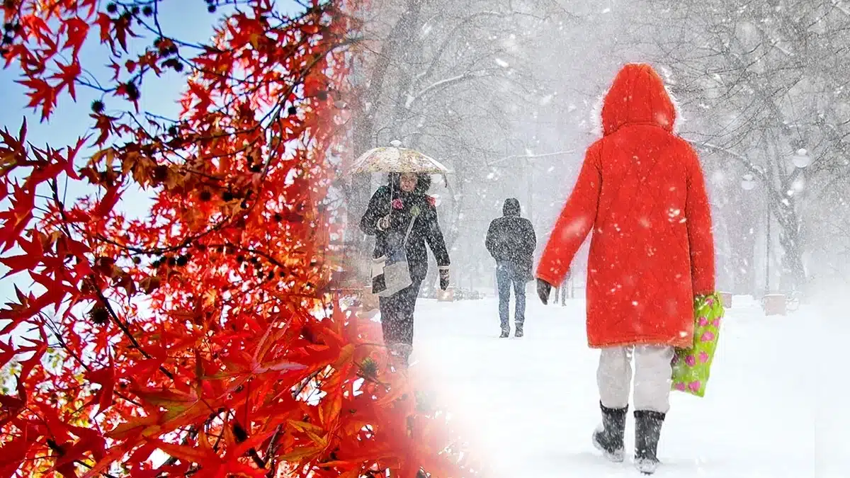 Първи мокър сняг в планините на Западна България