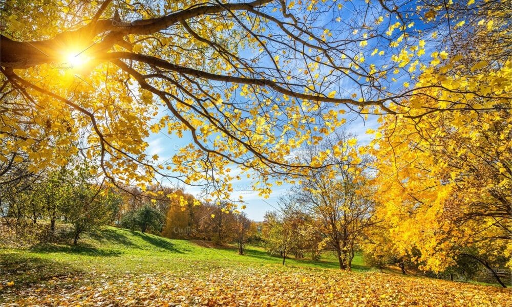 прогноза за времето на 10 октомври