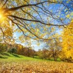 прогноза за времето на 10 октомври