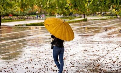 Облачна карта на България с валежи и температури за 19 ноември 2025 г. – прогноза на Kanal7.bg и НИМХ.