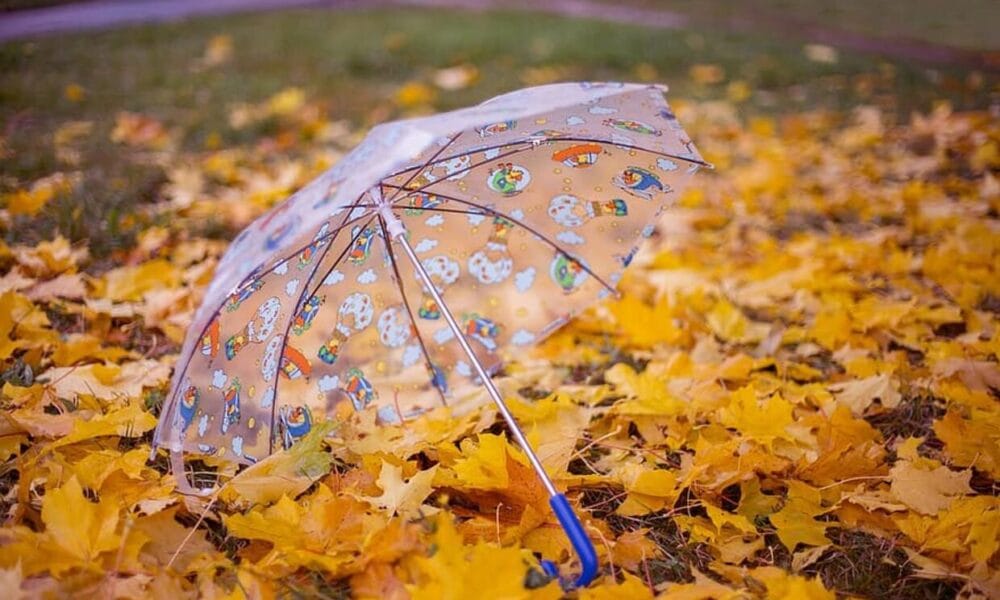 прогноза за времето