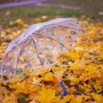 прогноза за времето