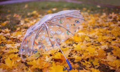 прогноза за времето