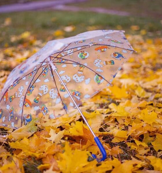 прогноза за времето