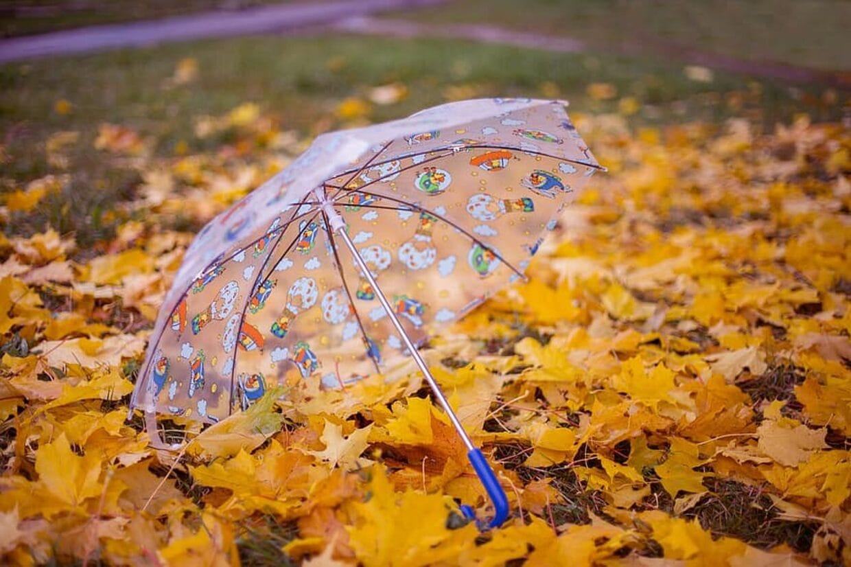 прогноза за времето