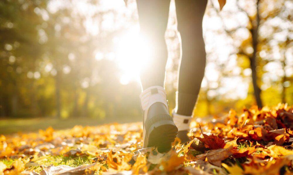 Карта на България с прогноза за времето на 17 ноември 2025 г.