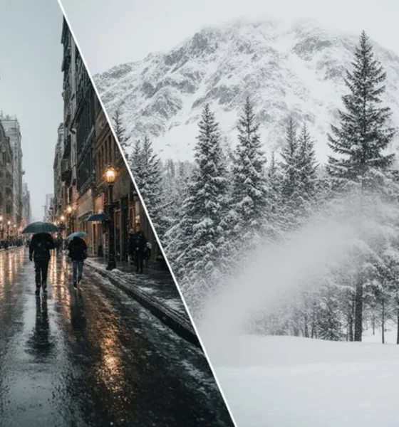 прогноза за времето