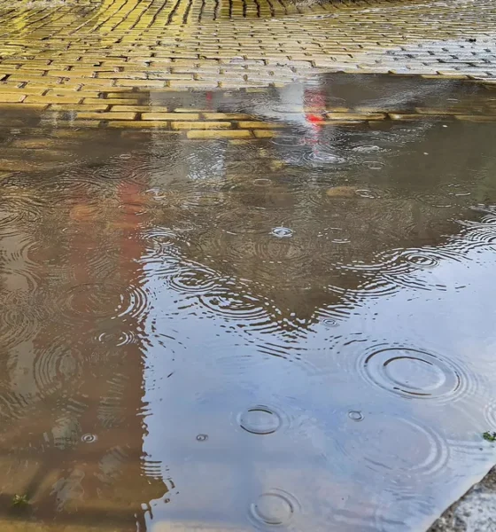 Наводнени улици и преляла река след проливните дъждове в Югозападна България