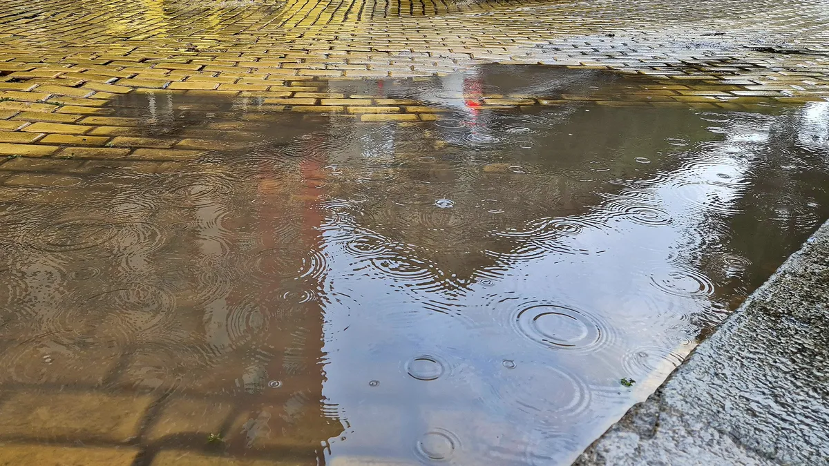 Наводнени улици и преляла река след проливните дъждове в Югозападна България