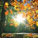 прогноза 24 ноември – карта на България