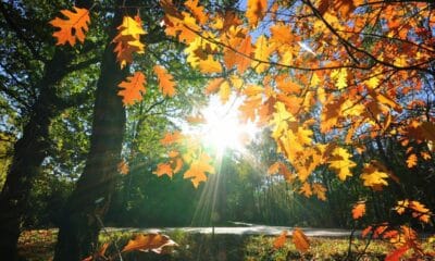 прогноза 24 ноември – карта на България