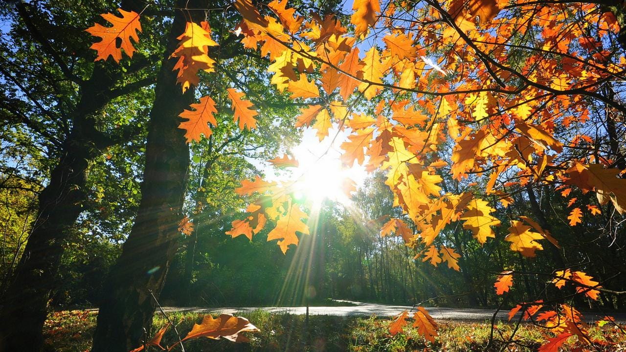 прогноза 24 ноември – карта на България