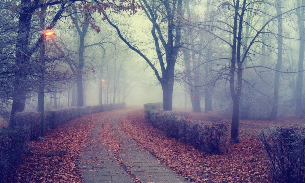 Мъгли, температурни инверсии и облачно време в България на 9 декември.