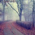 Мъгли, температурни инверсии и облачно време в България на 9 декември.