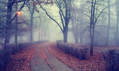 Мъгли, температурни инверсии и облачно време в България на 9 декември.