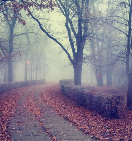 Мъгли, температурни инверсии и облачно време в България на 9 декември.