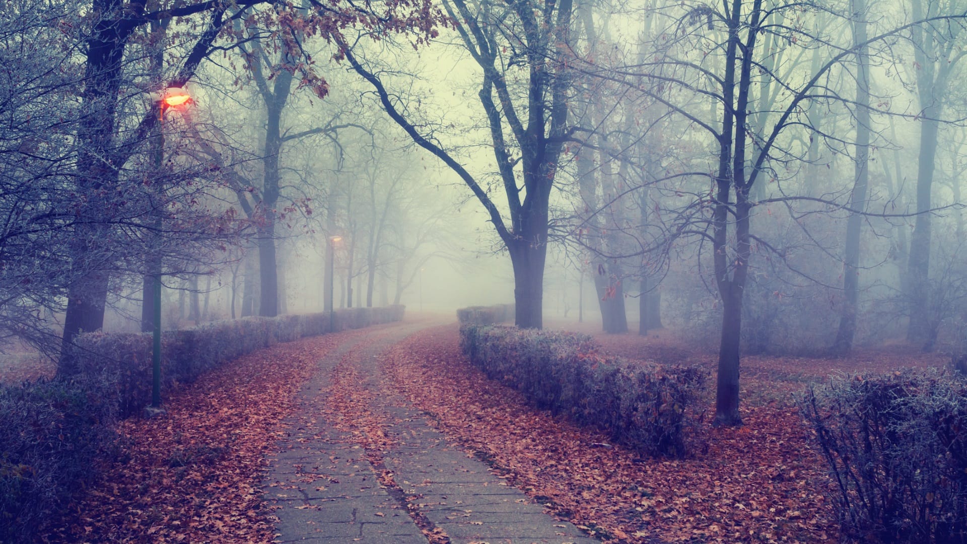 Мъгли, температурни инверсии и облачно време в България на 9 декември.